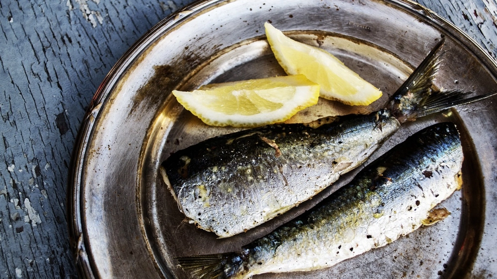 sardinas, imagenes de peces, pez ,Pixabay