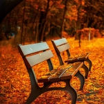 bancos, otoño, parque ,Pixabay