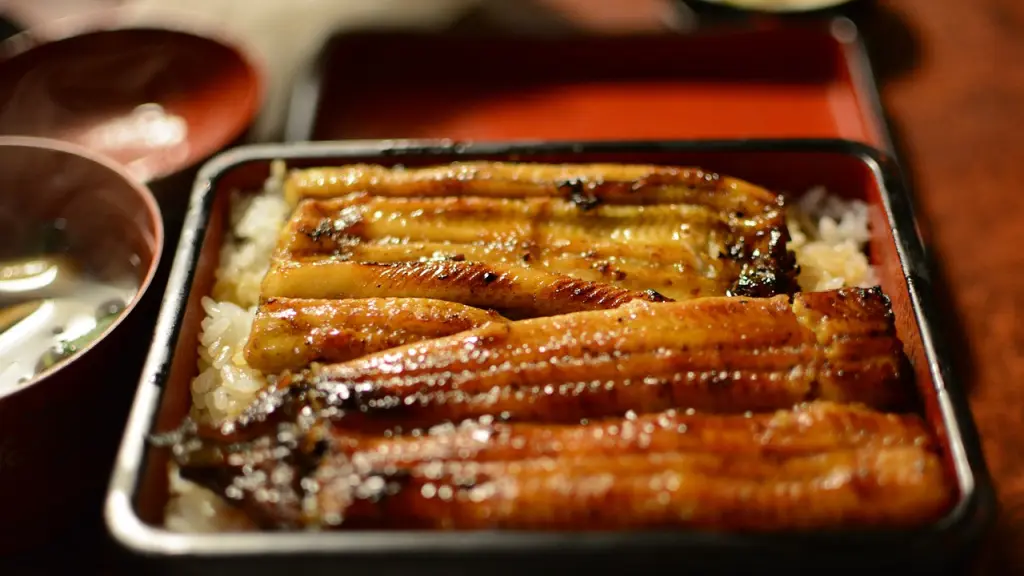 unadon, anguila, comida japonesa, Pixabay
