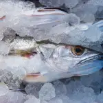 merluza, pescado, pescado fresco ,Pixabay