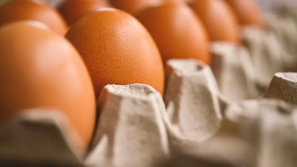huevo, titular de huevo, reproducción ,Pixabay